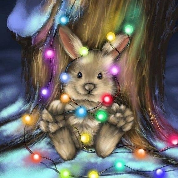 Meet your Posher, Christy - Picture 1 of 1